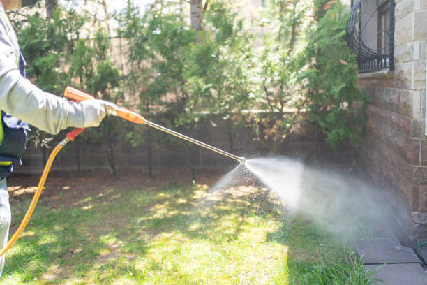 Best Flea Control Services  in Rotonda, FL