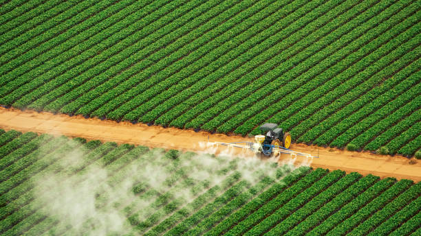 Best Best Pest Control Companies  in Rotonda, FL