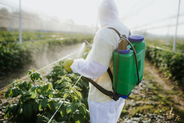 Best Pest Inspection Near Me  in Rotonda, FL